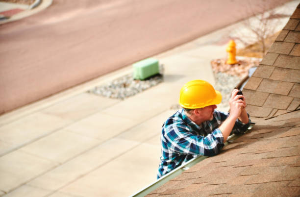 Best Roof Gutter Cleaning  in Westville, NJ